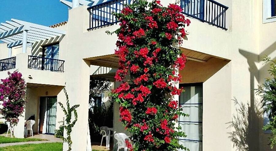 פונטה פרימה Apartamentos Primasud מראה חיצוני תמונה